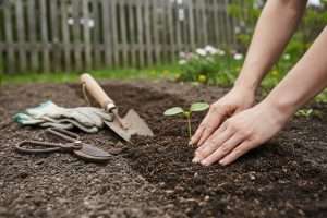 Stage en permaculture : toutes les infos